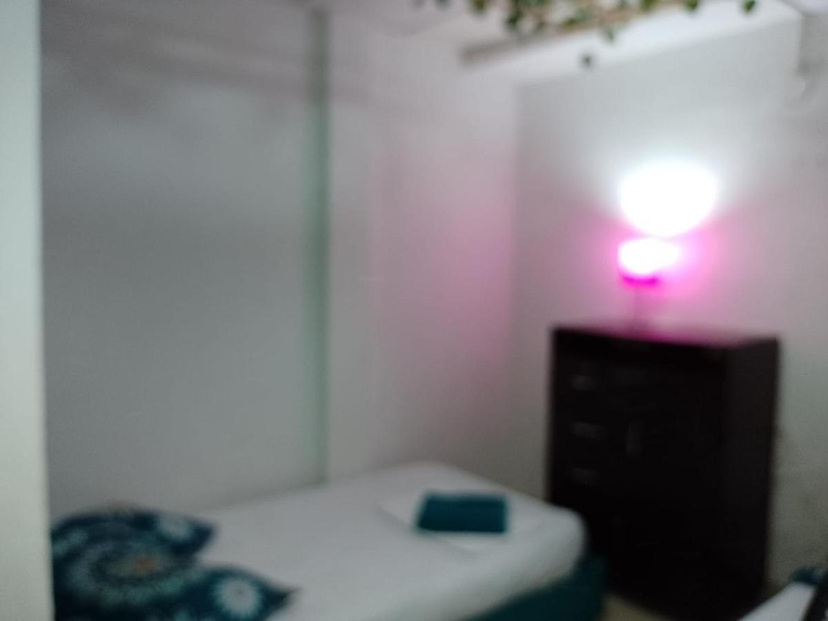 Cat Family Lodging Apartment Cartagena ภายนอก รูปภาพ
